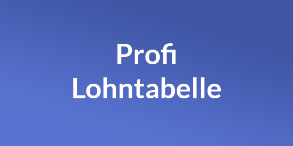 Profi Tabelle 2025