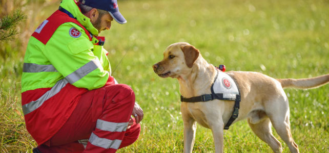 Rettungshundestaffel – Allgäu