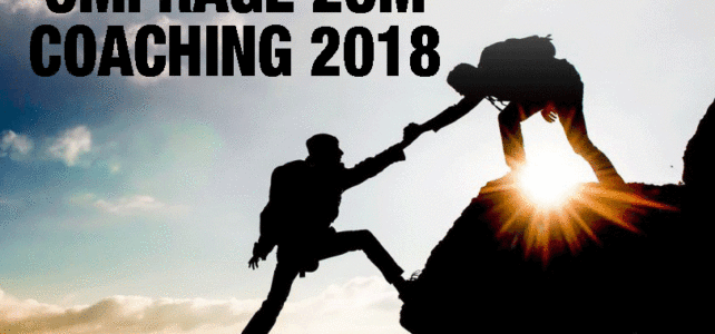 Coachingumfrage 2018